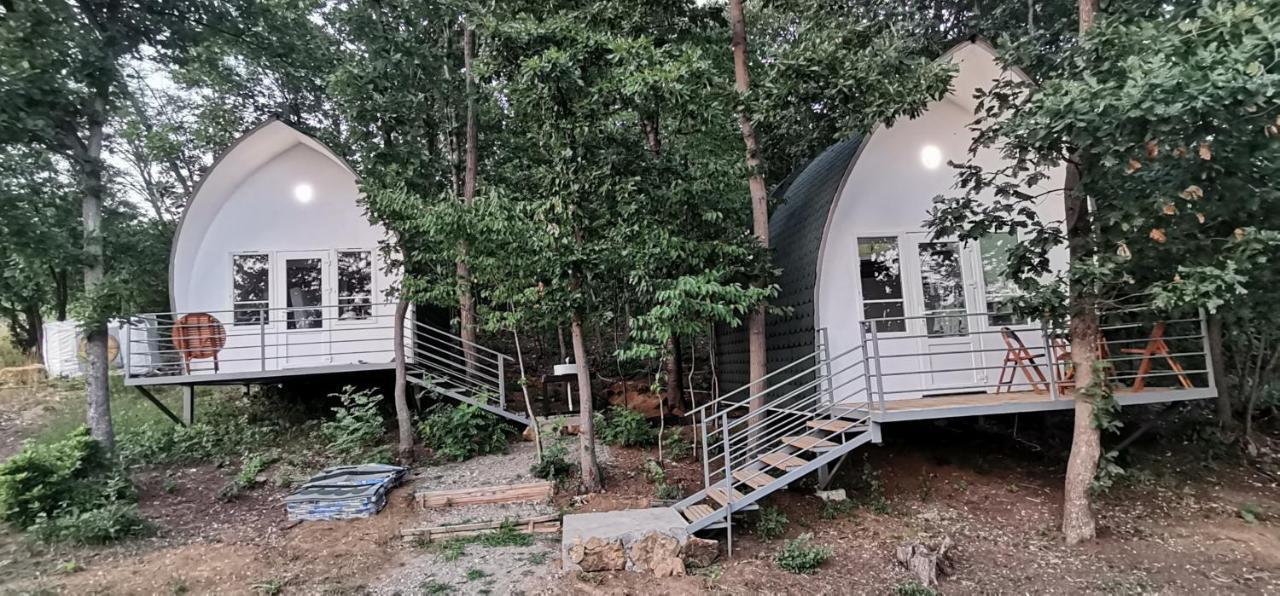 Bungalovi Api-Centar Gornji Milanovac Exteriör bild